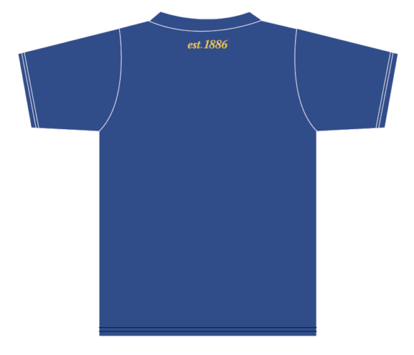 Custom Cricket Training T-Shirt