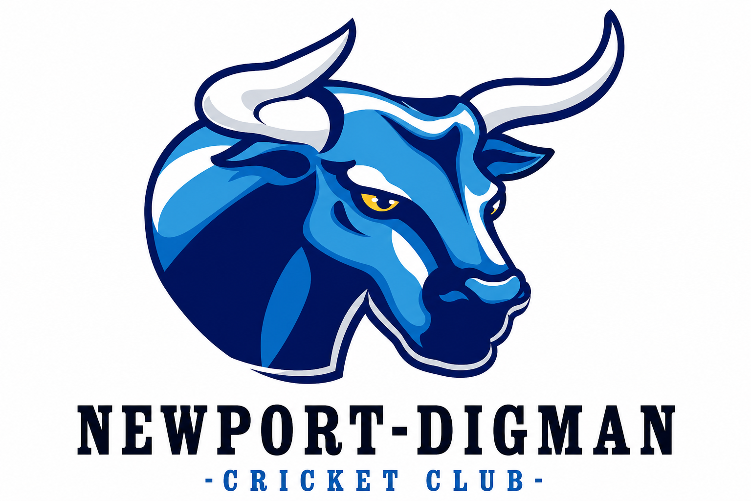 Newport Digman Cricket Club