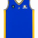 Custom Reversible Cricket Vest