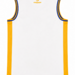 Custom Reversible Cricket Vest