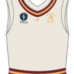 Custom Reversible Cricket Vest