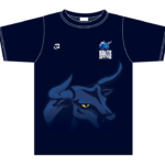 Custom Cricket Training T-Shirt